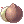 Coconut Fruit