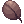 Pincher of Beetle