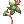 Poison Herb Makulata