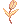 Golden Tulip Flower